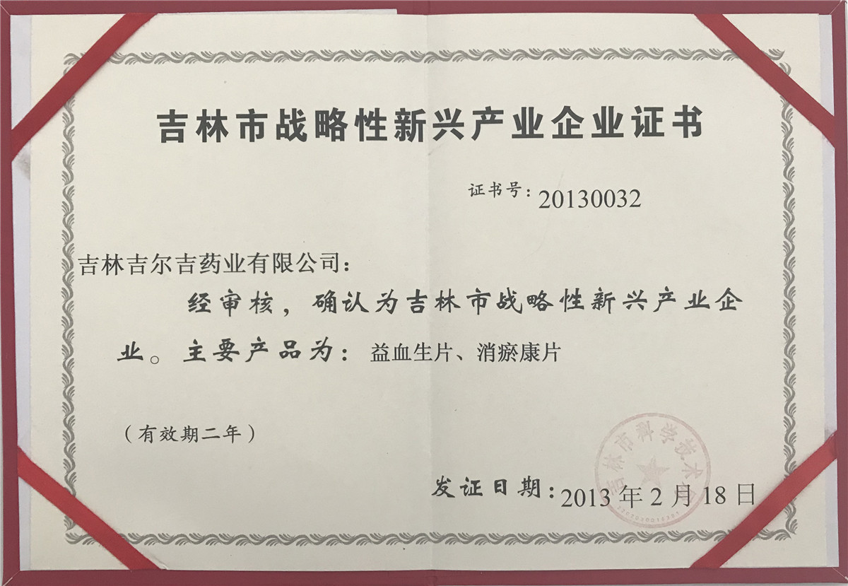 战略性新兴产业企业证书